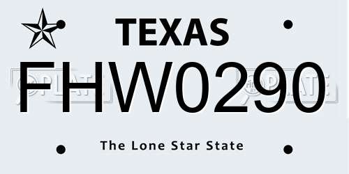 FHW0290 Texas License Plate