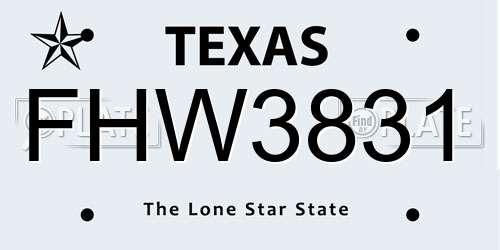 FHW3831 Texas License Plate