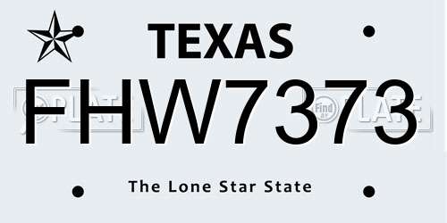 FHW7373 Texas License Plate