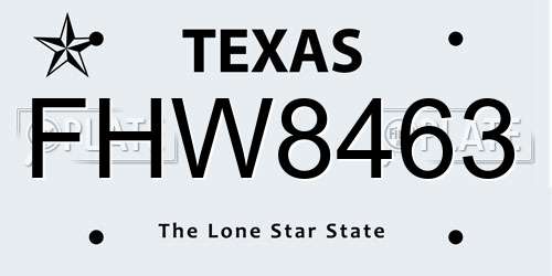 FHW8463 Texas License Plate