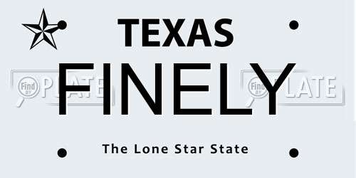FINELY Texas License Plate