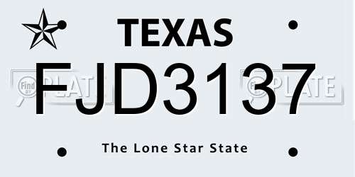 FJD3137 Texas License Plate