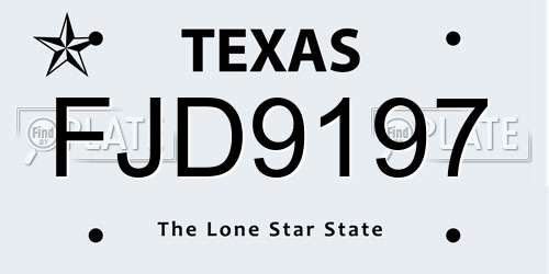 FJD9197 Texas License Plate