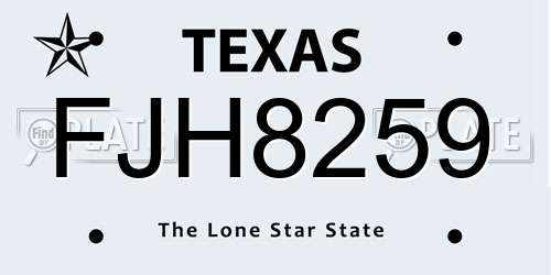 FJH8259 Texas License Plate