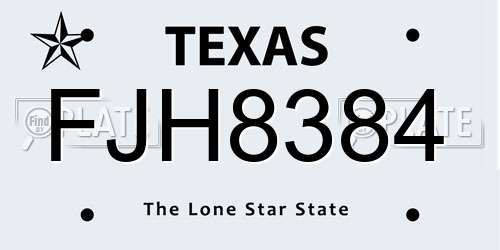 FJH8384 Texas License Plate