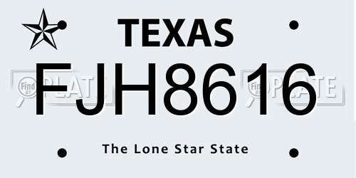 FJH8616 Texas License Plate