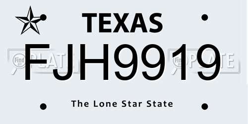 FJH9919 Texas License Plate