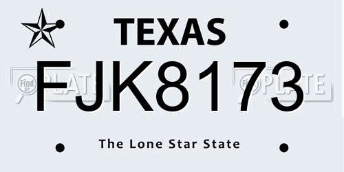 FJK8173 Texas License Plate