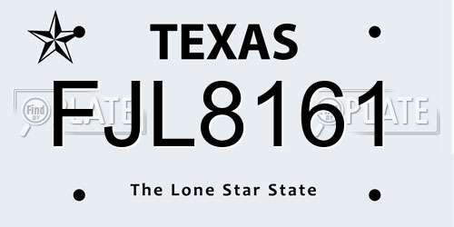 FJL8161 Texas License Plate