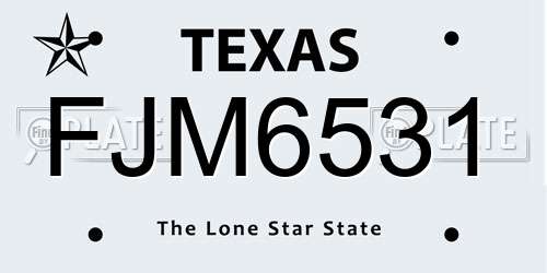 FJM6531 Texas License Plate