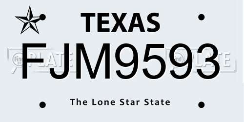 FJM9593 Texas License Plate