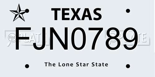 FJN0789 Texas License Plate