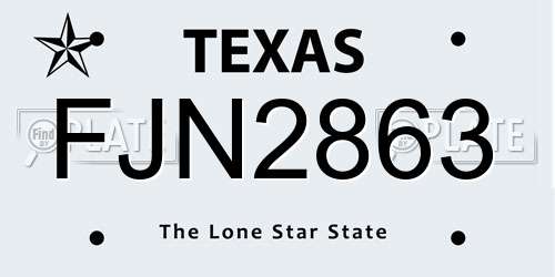 FJN2863 Texas License Plate