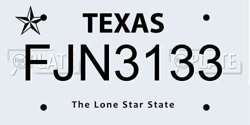 FJN3133 Texas License Plate