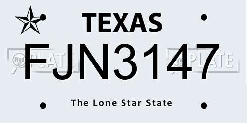 FJN3147 Texas License Plate