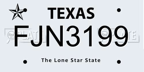 FJN3199 Texas License Plate