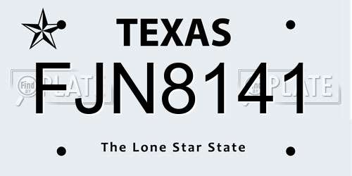 FJN8141 Texas License Plate