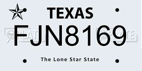 FJN8169 Texas License Plate