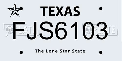 FJS6103 Texas License Plate