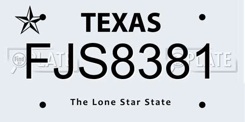 FJS8381 Texas License Plate