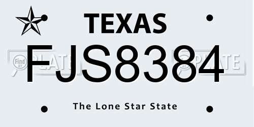 FJS8384 Texas License Plate