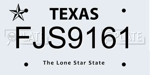 FJS9161 Texas License Plate