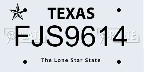 FJS9614 Texas License Plate