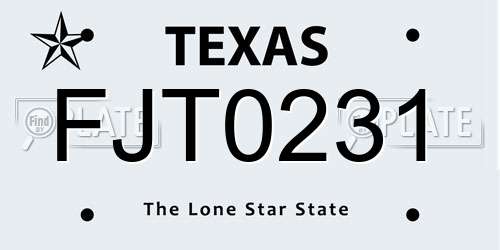 FJT0231 Texas License Plate