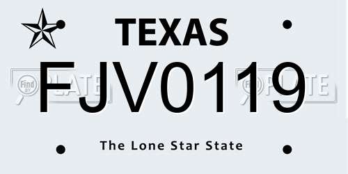 FJV0119 Texas License Plate