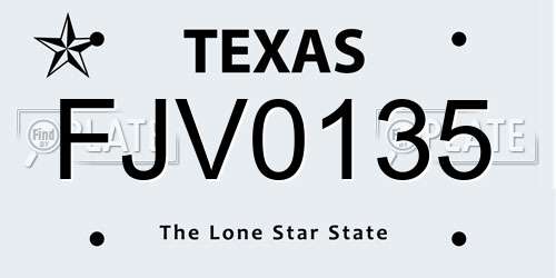 FJV0135 Texas License Plate