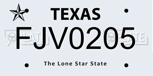 FJV0205 Texas License Plate