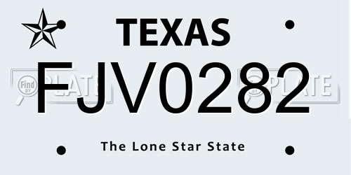 FJV0282 Texas License Plate