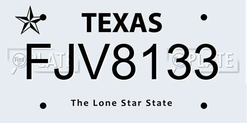 FJV8133 Texas License Plate