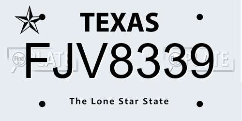 FJV8339 Texas License Plate