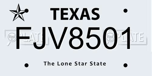 FJV8501 Texas License Plate