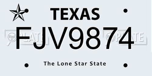 FJV9874 Texas License Plate