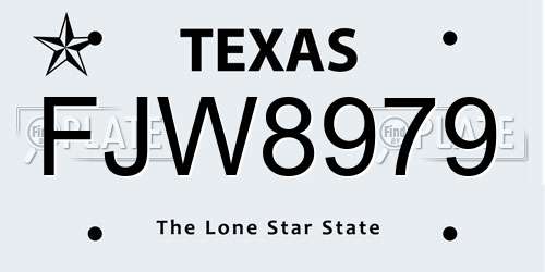 FJW8979 Texas License Plate