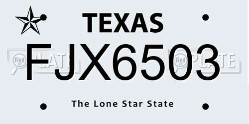 FJX6503 Texas License Plate