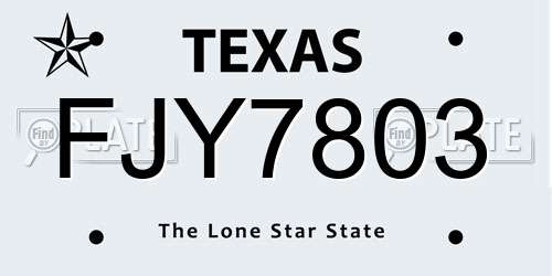 FJY7803 Texas License Plate