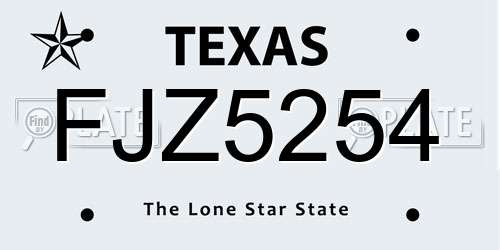 FJZ5254 Texas License Plate