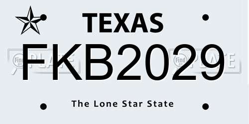 FKB2029 Texas License Plate