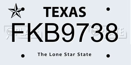 FKB9738 Texas License Plate