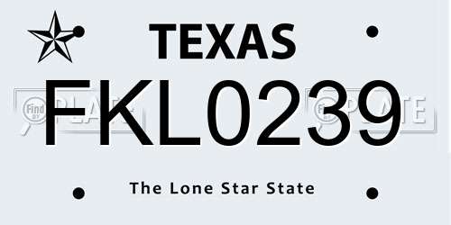 FKL0239 Texas License Plate