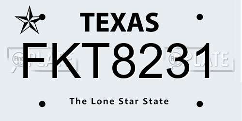 FKT8231 Texas License Plate