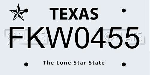 FKW0455 Texas License Plate