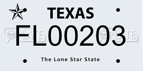 FL00203 Texas License Plate