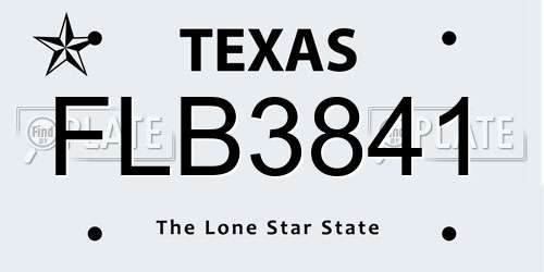 FLB3841 Texas License Plate