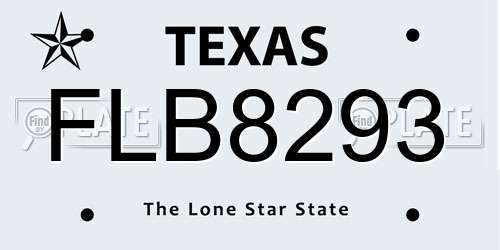 FLB8293 Texas License Plate