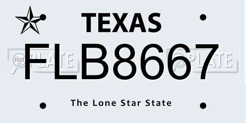 FLB8667 Texas License Plate