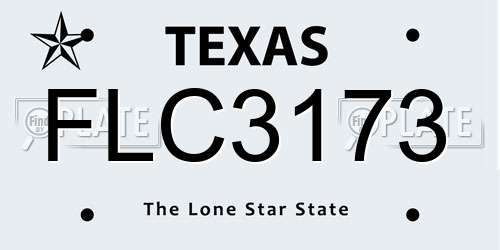 FLC3173 Texas License Plate